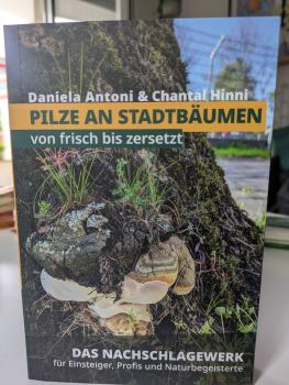 DAS BUCH Pilze an Stadtbäumen