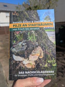 DAS BUCH Pilze an Stadtbäumen