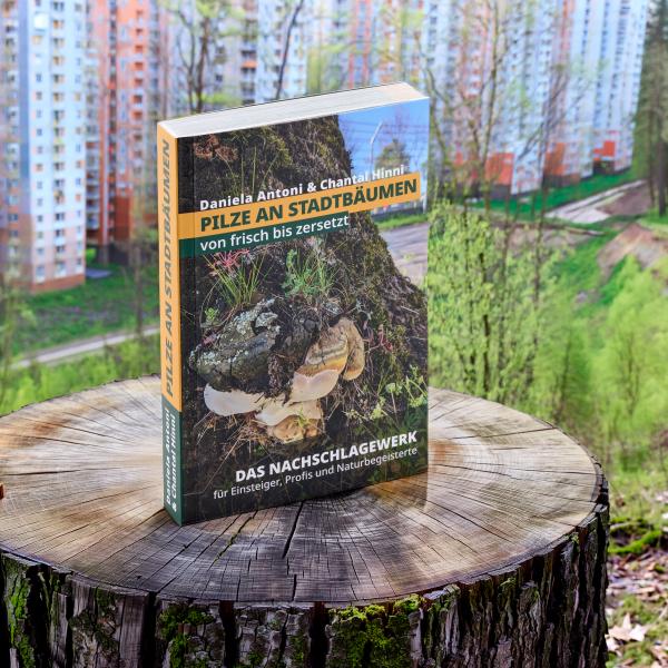 DAS BUCH Pilze an Stadtbäumen